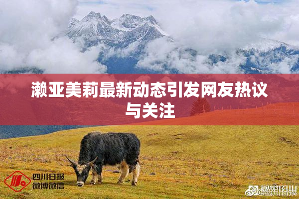 濑亚美莉最新动态引发网友热议与关注