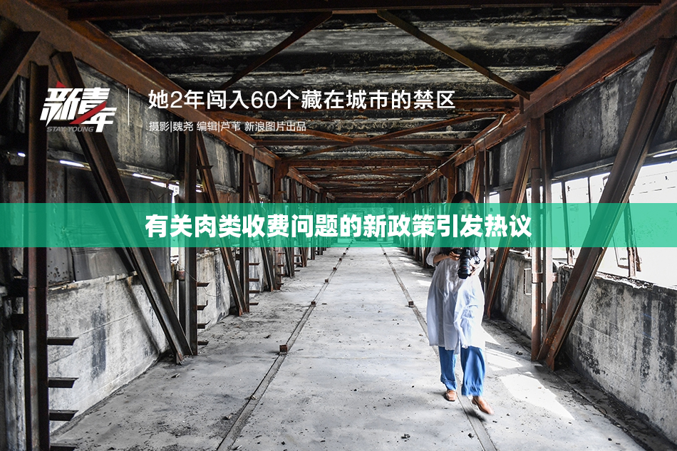 有关肉类收费问题的新政策引发热议