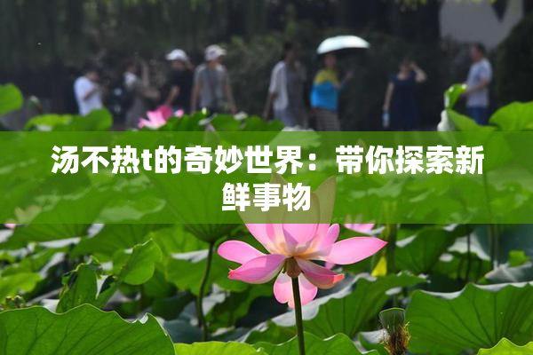 汤不热t的奇妙世界：带你探索新鲜事物
