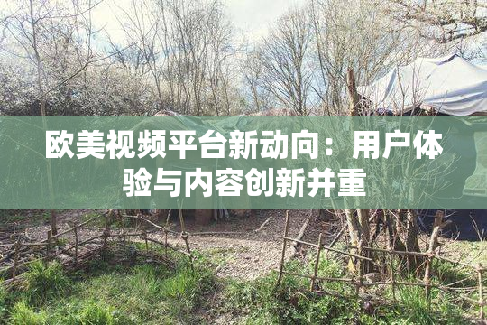 欧美视频平台新动向：用户体验与内容创新并重