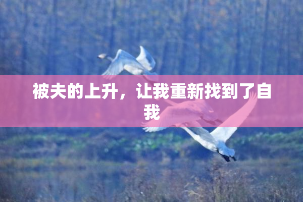 被夫的上升，让我重新找到了自我