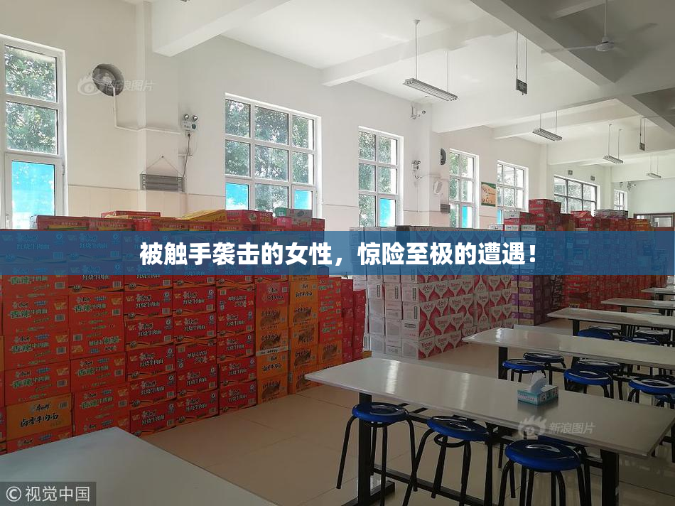 被触手袭击的女性，惊险至极的遭遇！