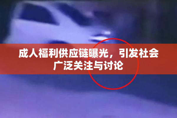 成人福利供应链曝光，引发社会广泛关注与讨论