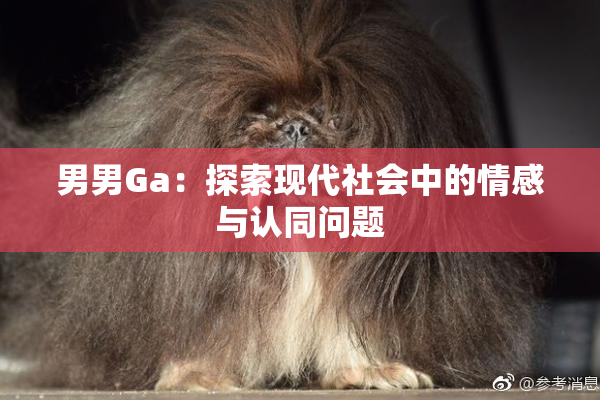 男男Ga：探索现代社会中的情感与认同问题