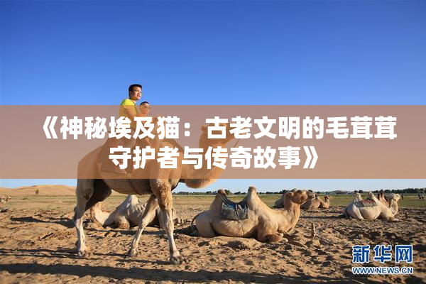 《神秘埃及猫：古老文明的毛茸茸守护者与传奇故事》