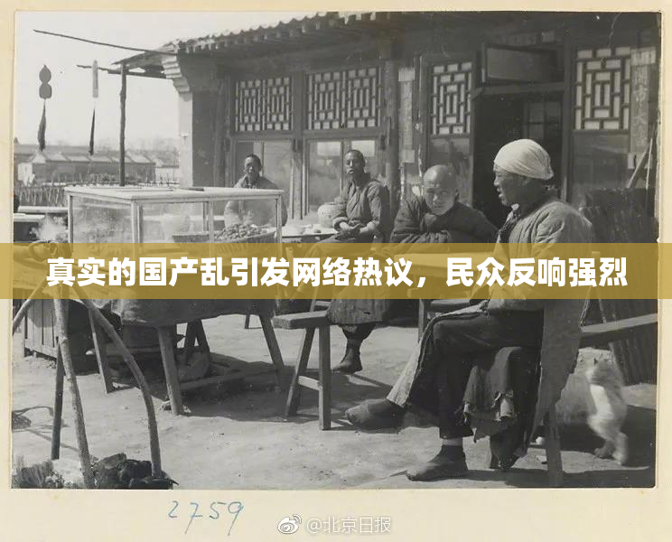 真实的国产乱引发网络热议，民众反响强烈