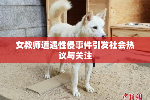 女教师遭遇性侵事件引发社会热议与关注