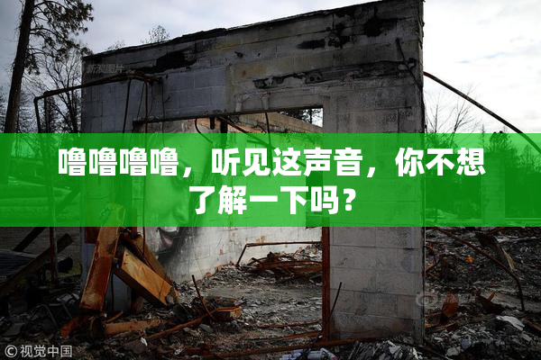 噜噜噜噜，听见这声音，你不想了解一下吗？
