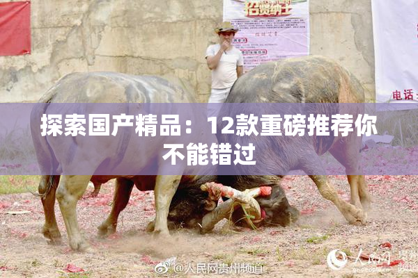 探索国产精品：12款重磅推荐你不能错过