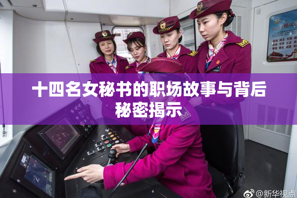 十四名女秘书的职场故事与背后秘密揭示