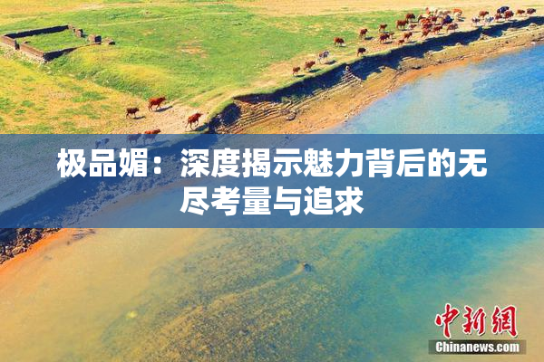 极品媚：深度揭示魅力背后的无尽考量与追求