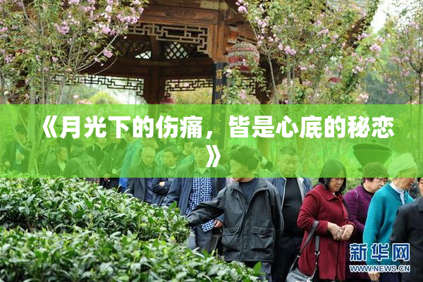 《月光下的伤痛，皆是心底的秘恋》