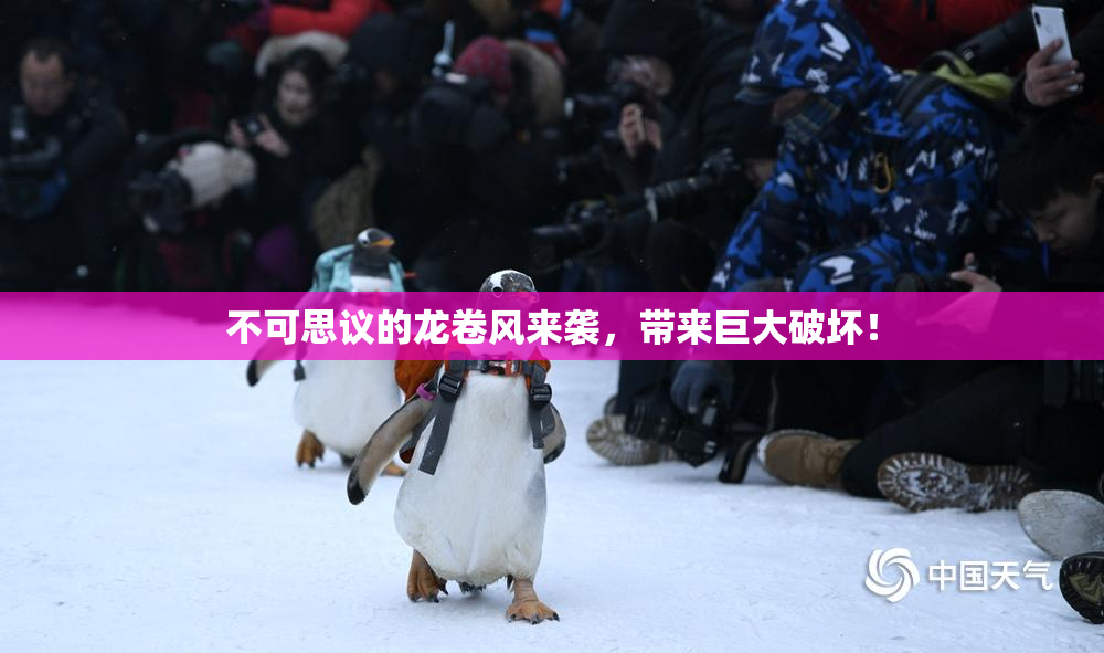 不可思议的龙卷风来袭，带来巨大破坏！