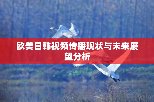 欧美日韩视频传播现状与未来展望分析