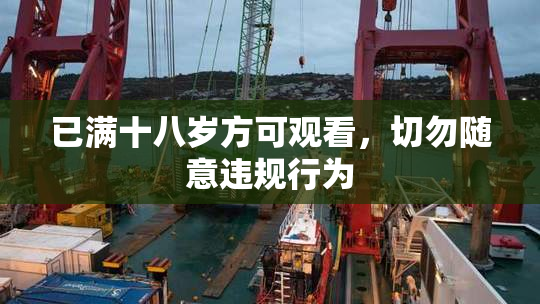 已满十八岁方可观看，切勿随意违规行为