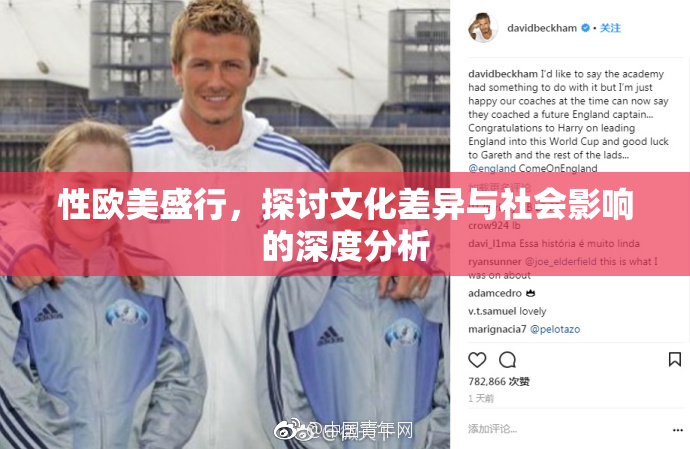 性欧美盛行，探讨文化差异与社会影响的深度分析