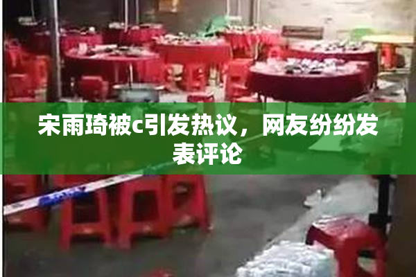 宋雨琦被c引发热议，网友纷纷发表评论