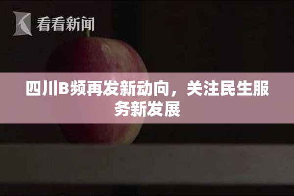 四川B频再发新动向，关注民生服务新发展