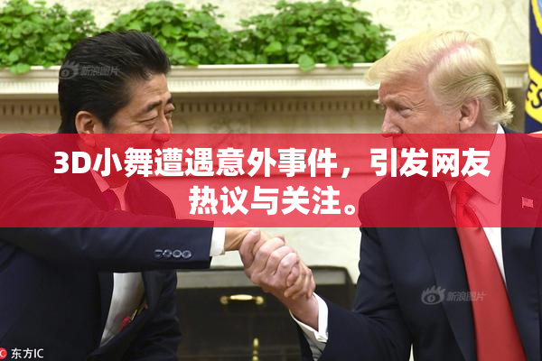 3D小舞遭遇意外事件，引发网友热议与关注。