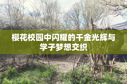 樱花校园中闪耀的千金光辉与学子梦想交织
