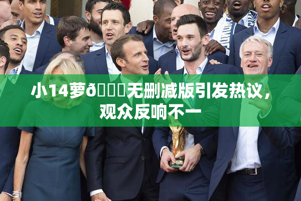 小14萝🔞无删减版引发热议，观众反响不一