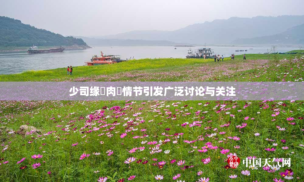 少司缘婬肉泬情节引发广泛讨论与关注