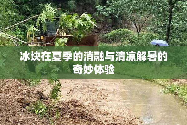 冰块在夏季的消融与清凉解暑的奇妙体验