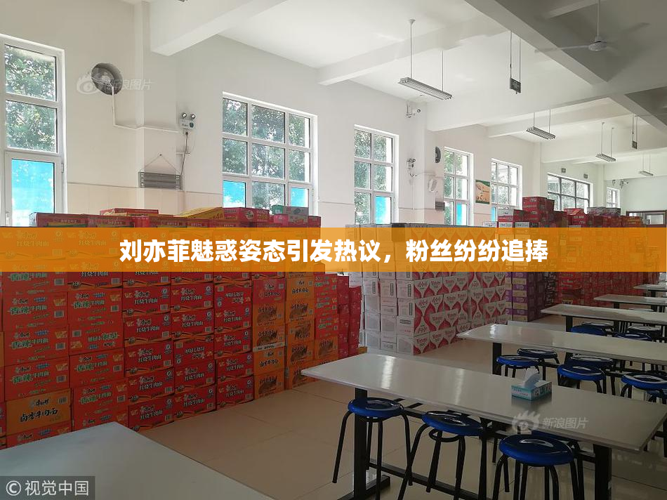 刘亦菲魅惑姿态引发热议，粉丝纷纷追捧