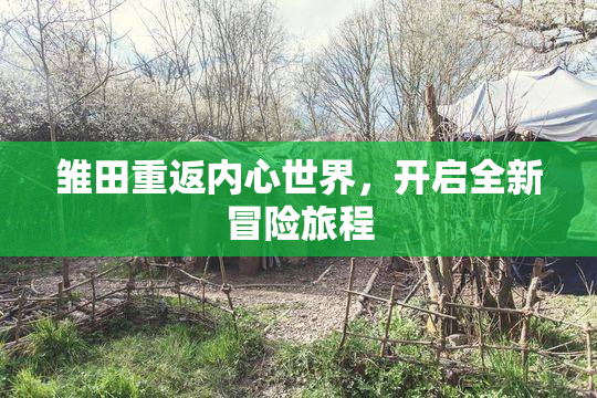 雏田重返内心世界，开启全新冒险旅程