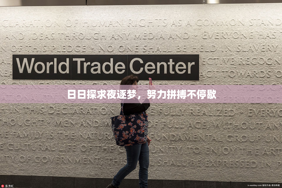 日日探求夜逐梦，努力拼搏不停歇