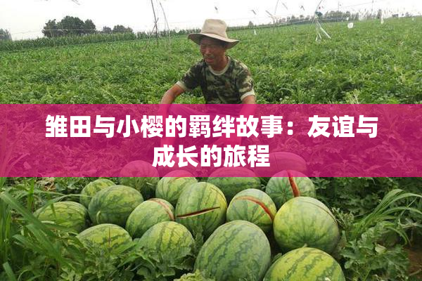 雏田与小樱的羁绊故事：友谊与成长的旅程