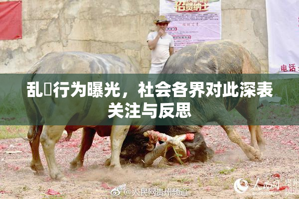乱婬行为曝光，社会各界对此深表关注与反思
