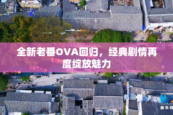全新老番OVA回归，经典剧情再度绽放魅力