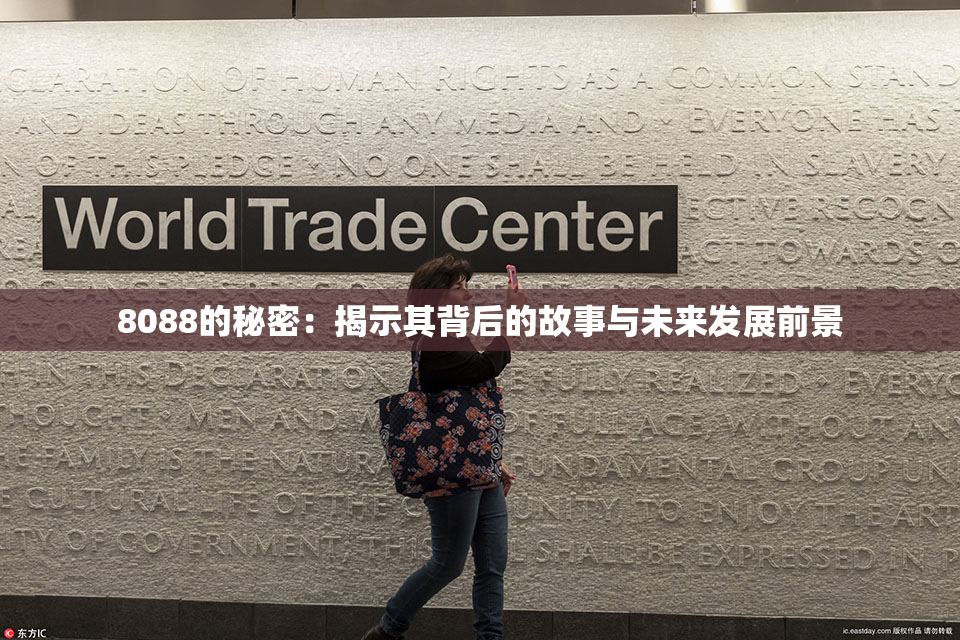 8088的秘密：揭示其背后的故事与未来发展前景