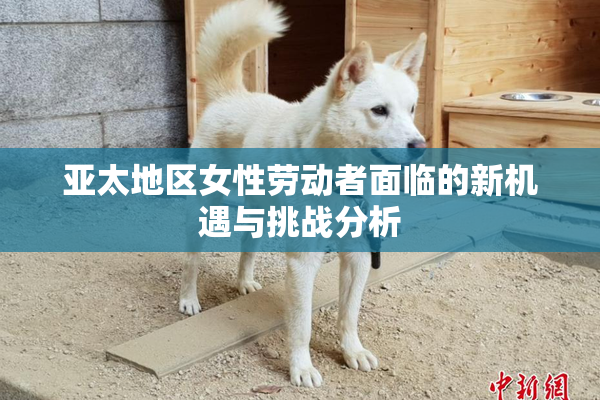亚太地区女性劳动者面临的新机遇与挑战分析