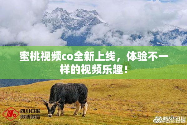 蜜桃视频co全新上线，体验不一样的视频乐趣！