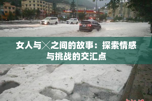 女人与╳之间的故事：探索情感与挑战的交汇点
