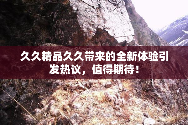 久久精品久久带来的全新体验引发热议，值得期待！
