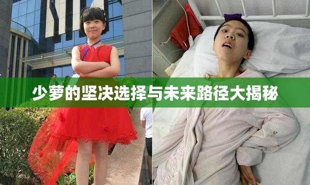 少萝的坚决选择与未来路径大揭秘