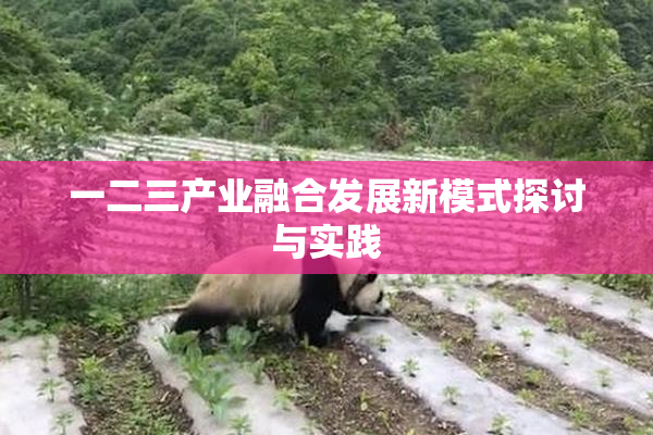 一二三产业融合发展新模式探讨与实践
