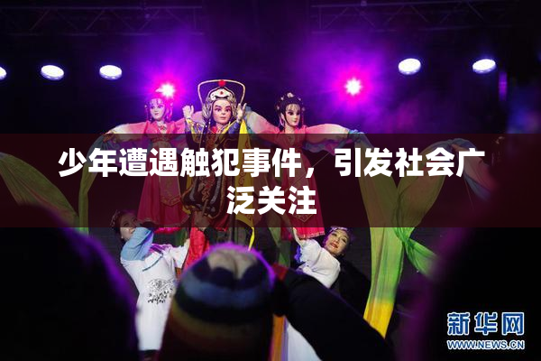少年遭遇触犯事件，引发社会广泛关注