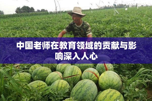 中国老师在教育领域的贡献与影响深入人心