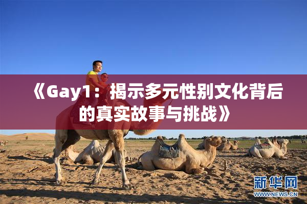 《Gay1：揭示多元性别文化背后的真实故事与挑战》
