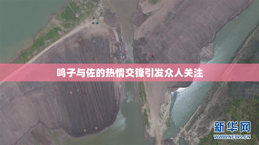 鸣子与佐的热情交锋引发众人关注