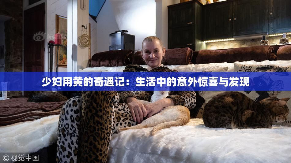 少妇用黄的奇遇记：生活中的意外惊喜与发现