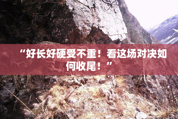 “好长好硬受不重！看这场对决如何收尾！”