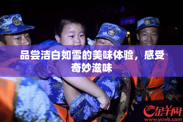 品尝洁白如雪的美味体验，感受奇妙滋味