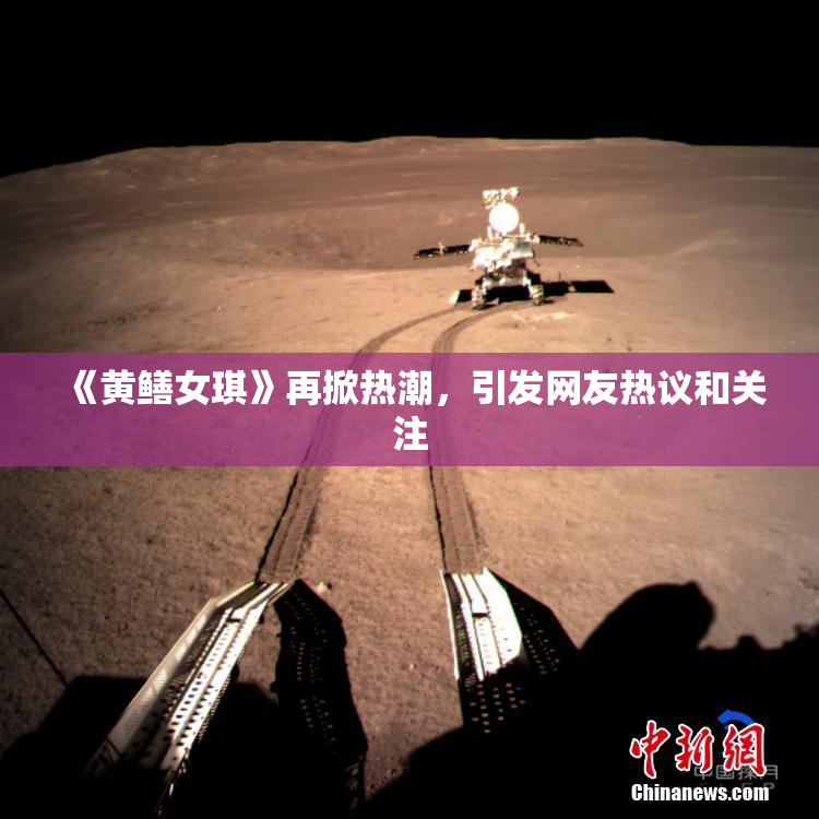《黄鳝女琪》再掀热潮，引发网友热议和关注