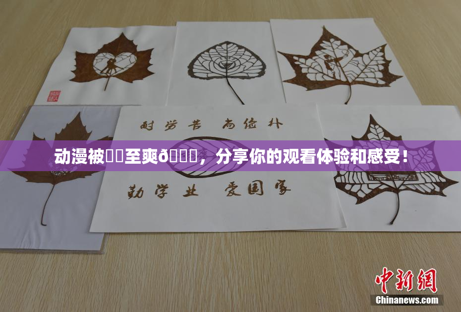 动漫被❌‌至爽🔞，分享你的观看体验和感受！