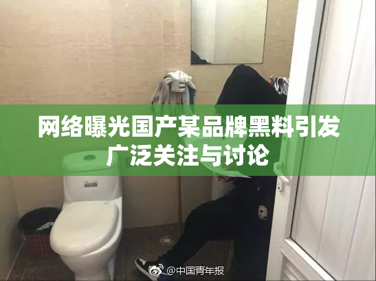 网络曝光国产某品牌黑料引发广泛关注与讨论